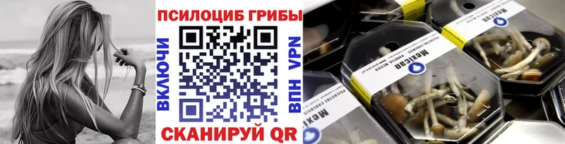 Псилоцибиновые грибы Magic Shrooms  Северская 